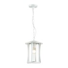 Уличный светильник-подвес IP44 Odeon Light Nature 4173/1