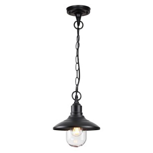Ландшафтный подвес Odeon Light Nature 4965/1