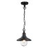 Ландшафтный подвес Odeon Light Nature 4965/1