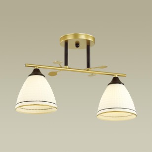 Люстра потолочная Lumion Comfi 4544/2C