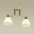 Люстра потолочная Lumion Comfi 4544/2C