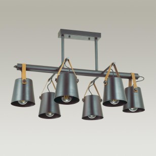 Люстра потолочная Lumion Lofti 3641/6C