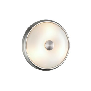 Светильник настенно-потолочный Odeon Light Walli 4957/2