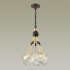 Люстра Odeon Light Loft 4789/5A