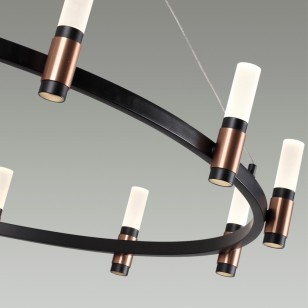 Люстра Odeon Light L-Vision 5009/48L
