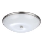 Настенно-потолочный светильник Odeon Light Walli 4957/6