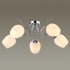 Люстра потолочная Lumion Comfi 4594/5C