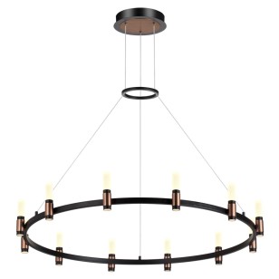 Люстра Odeon Light L-Vision 5009/48L