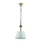 Подвес Lumion Classi 4430/1