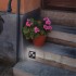 Подсветка ступеней Novotech Street 358093