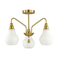 Люстра потолочная Lumion Moderni 4562/3C