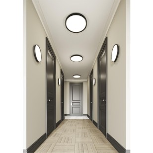 Светильник настенно-потолочный Sonex Vasta Led 3065/36L