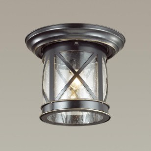 Уличный потолочный светильник Odeon Light Nature 4045/1C