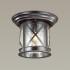Уличный потолочный светильник Odeon Light Nature 4045/1C