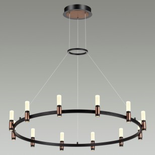 Люстра Odeon Light L-Vision 5009/48L