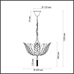 Люстра Odeon Light Hall 4838/6