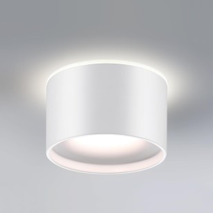 Светильник встраиваемый светодиодный с переключателем цветовой температуры Novotech Spot 358961