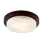 Настенно-потолочный светильник Odeon Light Drops 2744/3C
