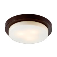 Настенно-потолочный светильник Odeon Light Drops 2744/3C