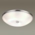 Настенно-потолочный светильник Odeon Light Walli 4957/6