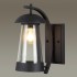 Ландшафтный настенный светильник Odeon Light Nature 4837/1W
