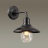 Ландшафтный настенный светильник Odeon Light Nature 4965/1W
