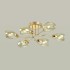 Люстра потолочная Lumion Moderni 4536/6C
