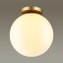 Светильник потолочный накладной Odeon Light Hightech 4248/1C