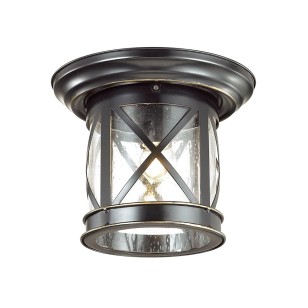 Уличный потолочный светильник Odeon Light Nature 4045/1C
