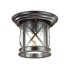 Уличный потолочный светильник Odeon Light Nature 4045/1C