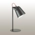 Настольная лампа Lumion Desk 3651/1T