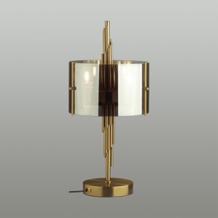 Настольная лампа Odeon Light Modern 4895/2T