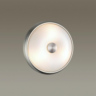 Светильник настенно-потолочный Odeon Light Walli 4957/2