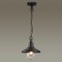 Ландшафтный подвес Odeon Light Nature 4965/1