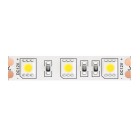 Светодиодная лента 12В LED Strip 10131