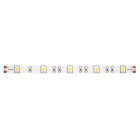 Светодиодная лента 24В LED Strip 10164