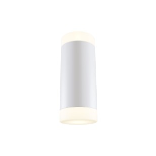 Бра Technical Ceiling & Wall C027WL-L10W