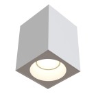 Светильник потолочный Technical Ceiling & Wall C030CL-01W