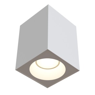 Светильник потолочный Technical Ceiling & Wall C030CL-01W