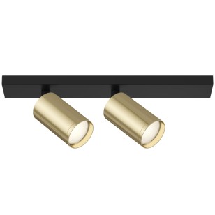 Светильник потолочный Technical Ceiling & Wall C051CL-02BG