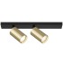 Светильник потолочный Technical Ceiling & Wall C051CL-02BG
