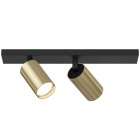 Светильник потолочный Technical Ceiling & Wall C051CL-02BG