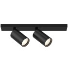 Светильник потолочный Technical Ceiling & Wall C051CL-2B