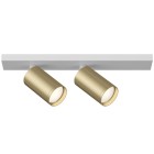 Светильник потолочный Technical Ceiling & Wall C051CL-2WMG