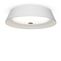 Светильник потолочный Freya LED FR10013CL-L24W