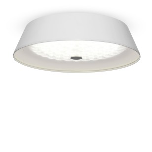 Светильник потолочный Freya LED FR10013CL-L24W