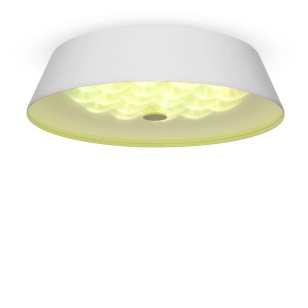 Светильник потолочный Freya LED FR10013CL-L24W