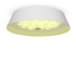 Светильник потолочный Freya LED FR10013CL-L24W