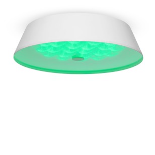 Светильник потолочный Freya LED FR10013CL-L24W