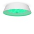 Светильник потолочный Freya LED FR10013CL-L24W